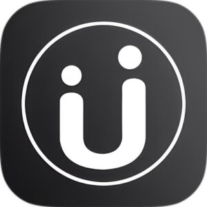 Vidu