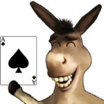 Donkey